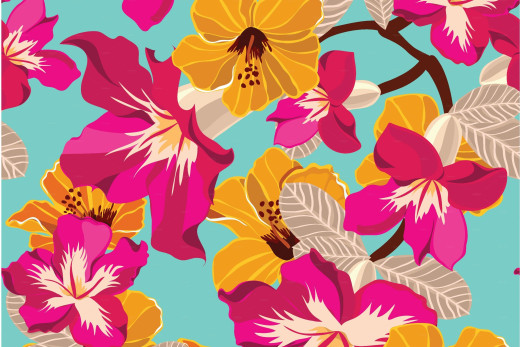 1184489 (a): :2560x1704